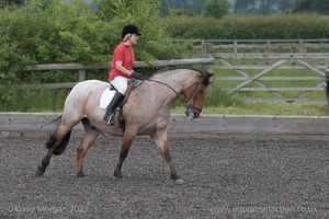 ISIS Dressage Challenge 2008